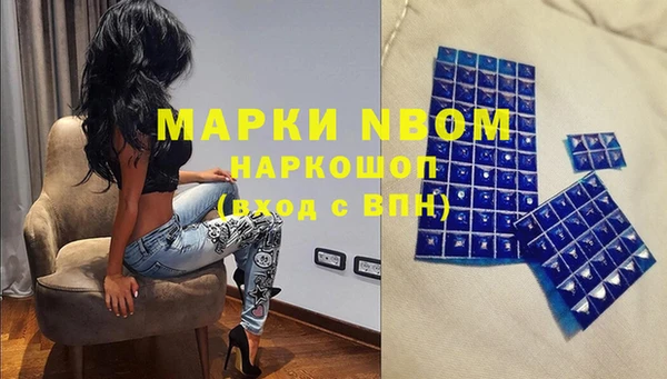 Альфа ПВП Белокуриха