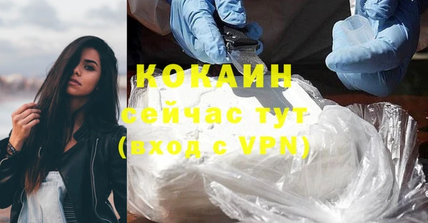 Альфа ПВП Белокуриха