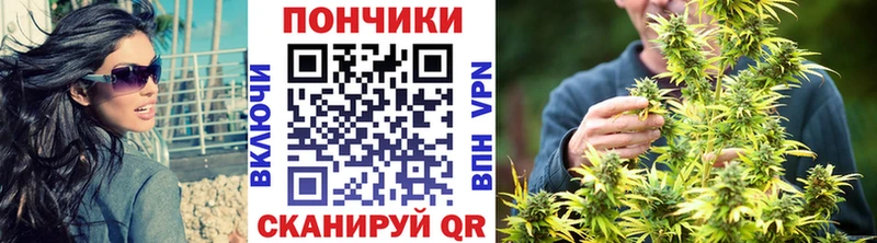 Купить где  Златоуст  МАРИХУАНА планчик 